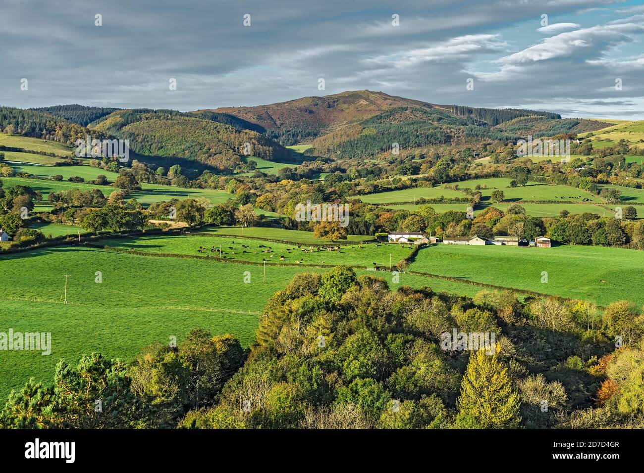 Moel Famau nella catena montuosa Clwydian vista da Loggerheads Country Park in autunno vicino a Mold North Wales UK ottobre 2019 2509 Foto Stock