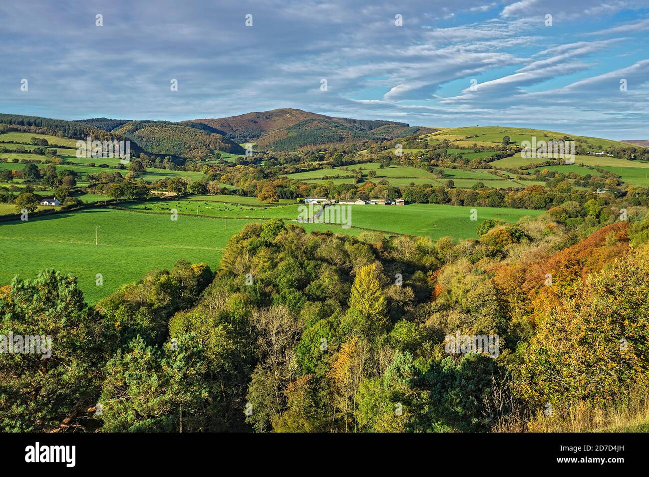 Moel Famau nella catena montuosa Clwydian vista da Loggerheads Country Park in autunno vicino a Mold North Wales UK ottobre 2019 2584 Foto Stock