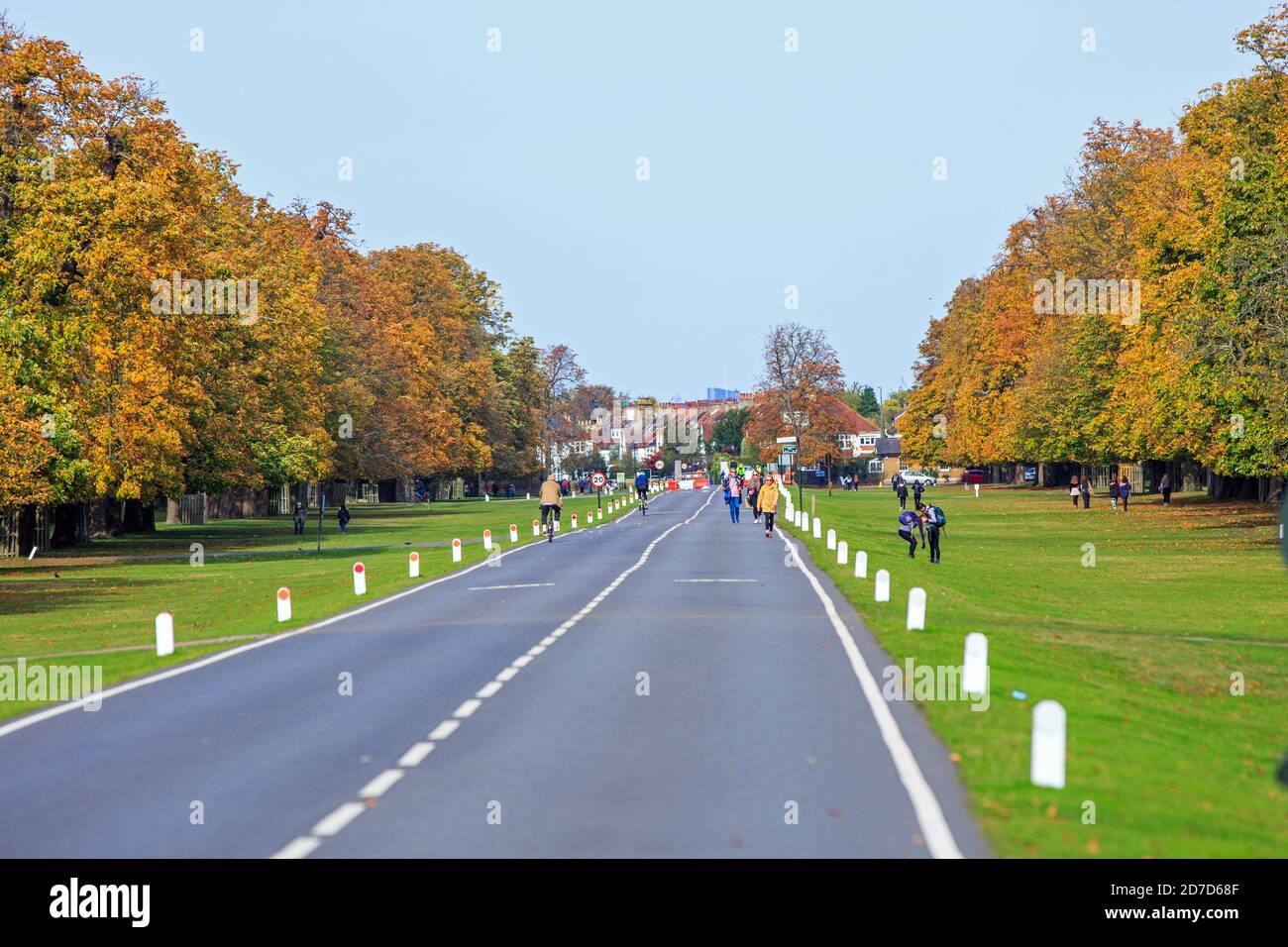 Bushy Park Main Road, Richmond, 2020.People camminando lungo la lunga strada principale che conduce all'Hampton Court Palace. E' popolare tra i locali e i ciclisti Foto Stock