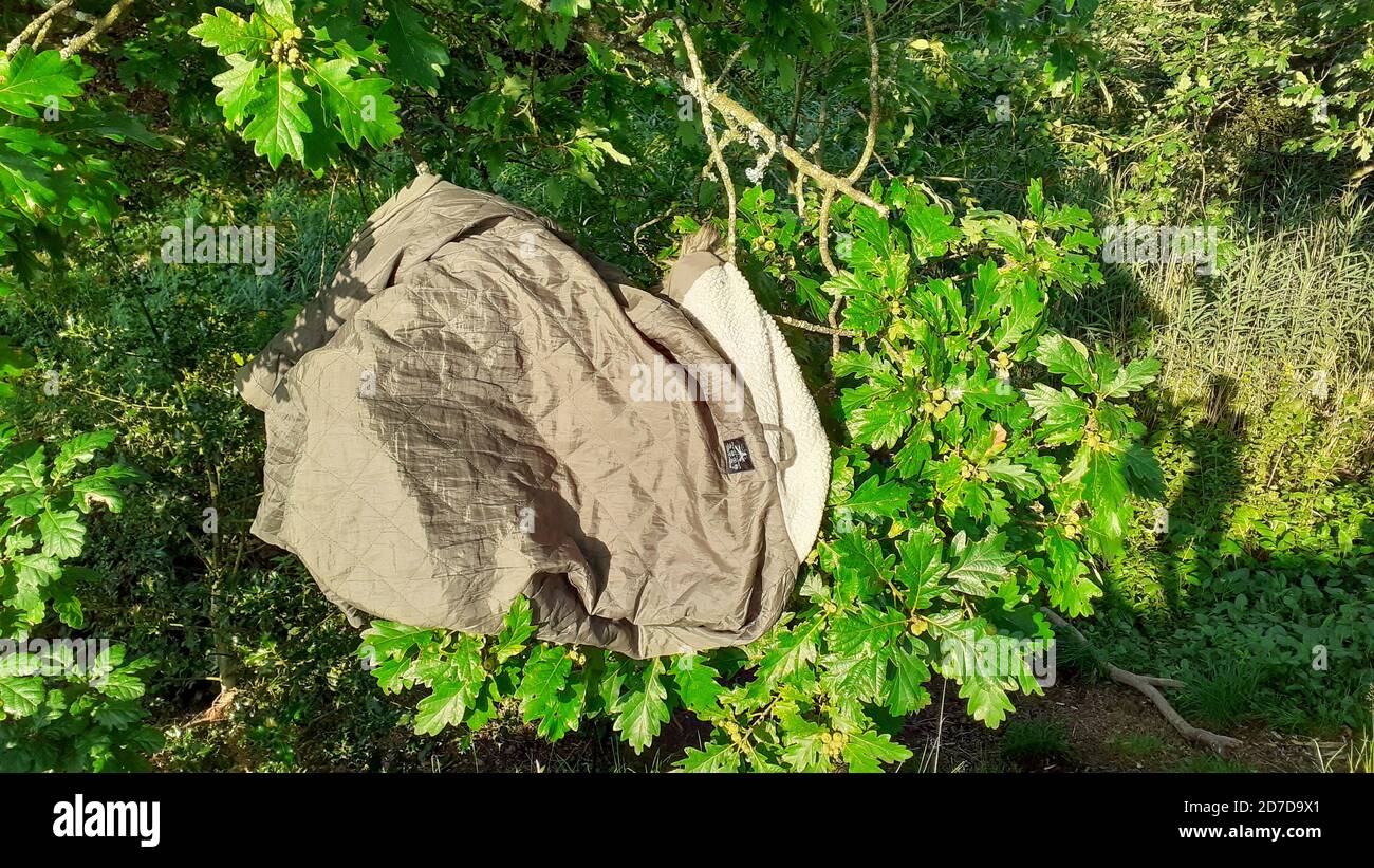 Un cappotto bizaraffe abbandonato in un albero di quercia, uno dei molti esempi di vsitors al Distretto del Lago durante Covid fare cose stupide. Foto Stock