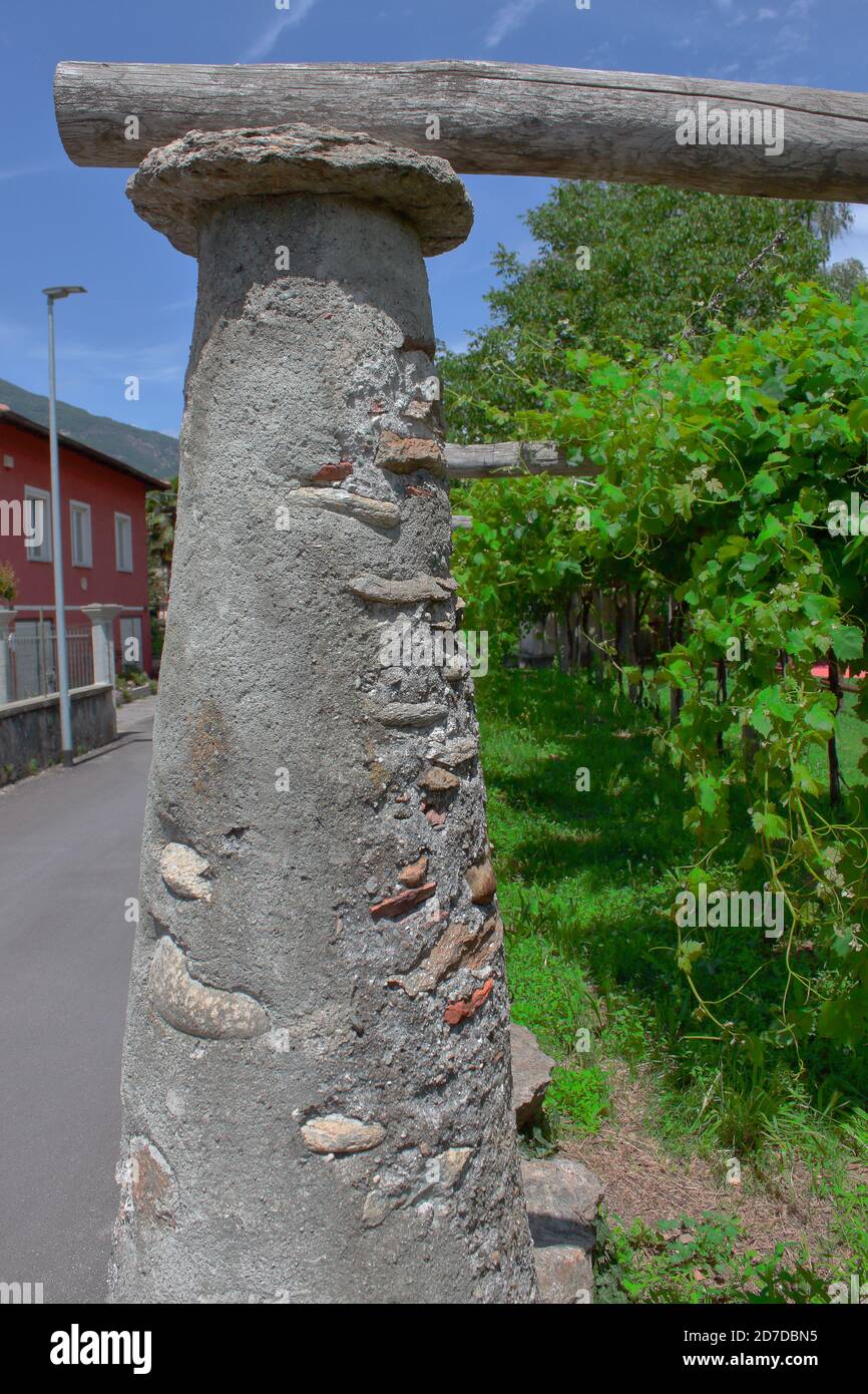 -Tupiun-: Una tradizionale colonna di mattoni e calcestruzzo con testata in granito per sostenere il vigneto Foto Stock