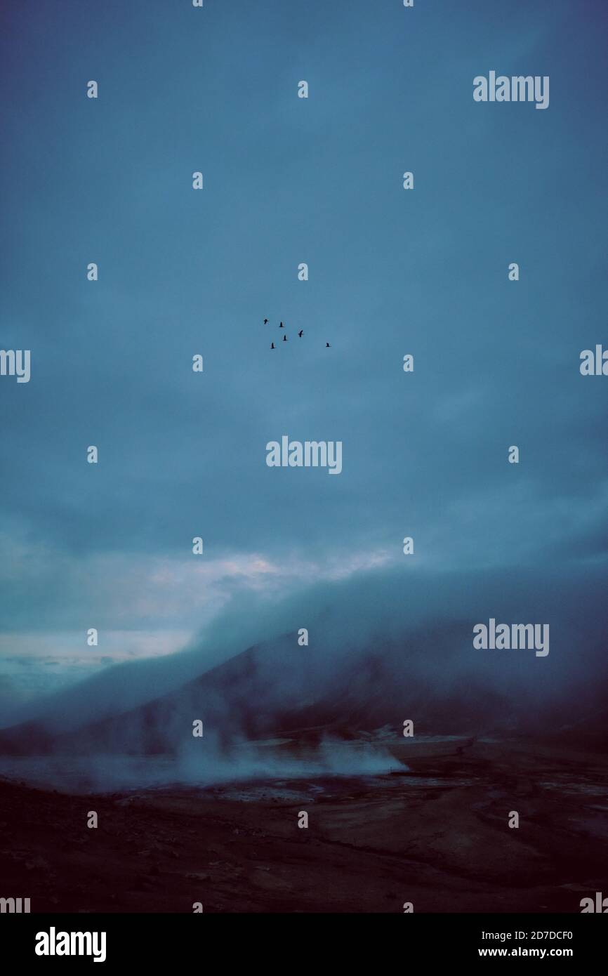 Una matassa o una formazione di volo a forma di V di uccelli come oche in una moody crepuscolo nuvoloso cielo settentrionale - migrazione uccelli volanti - paesaggio minimo Foto Stock