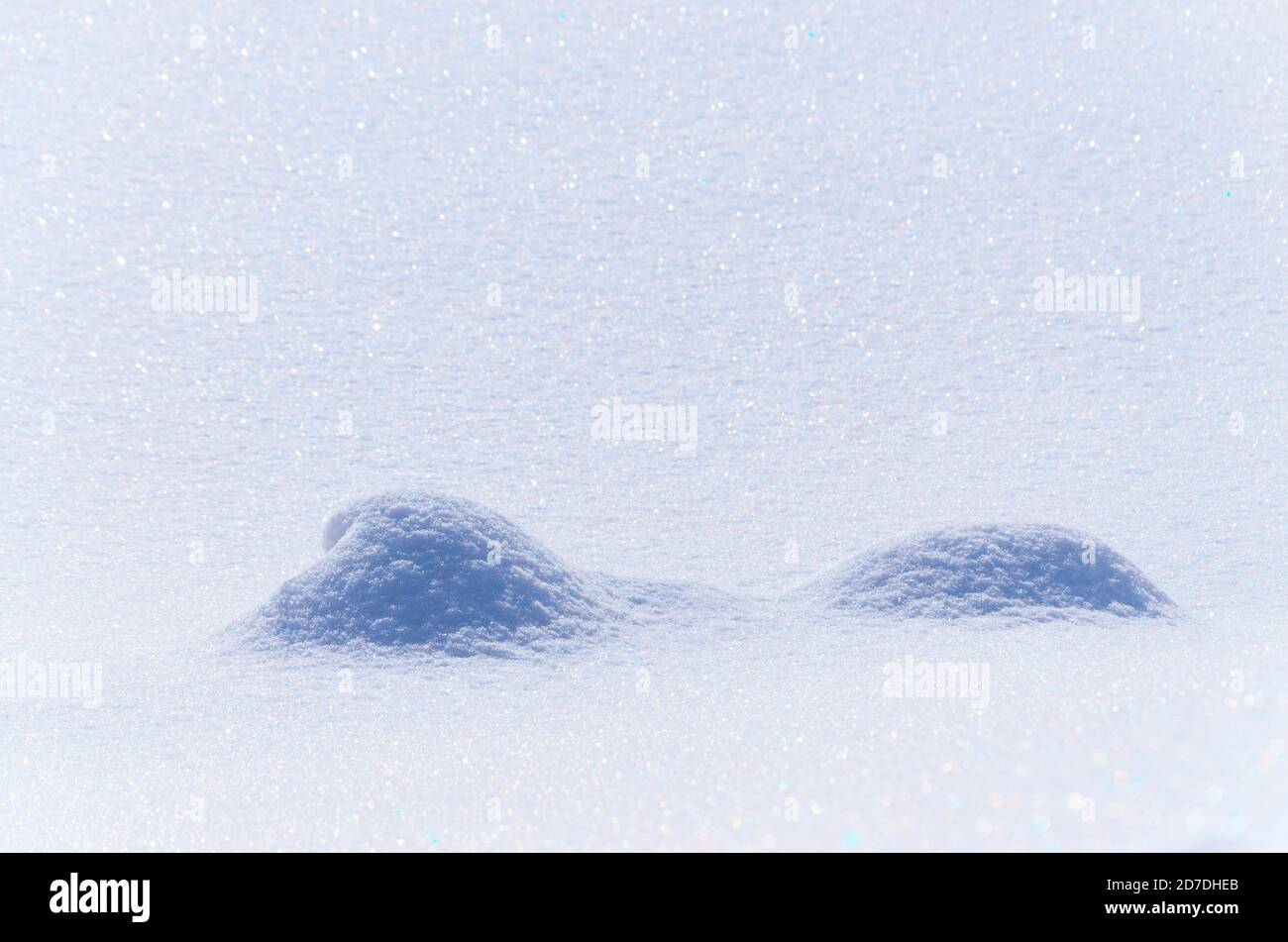 Astratto inverno innevato sfondo con due innevati. Foto Stock