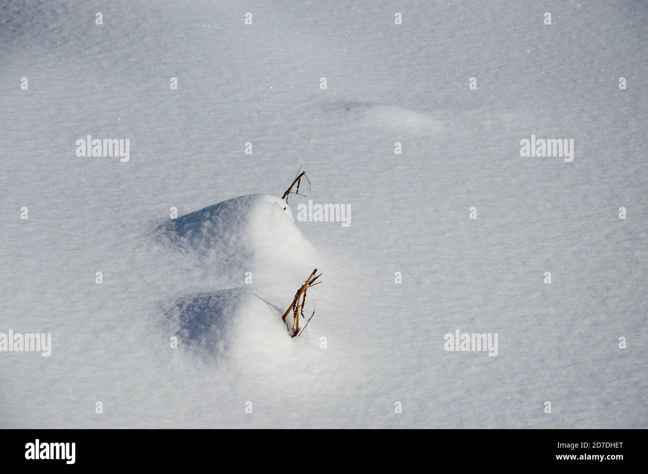 Astratto inverno innevato sfondo con due innevati. Foto Stock