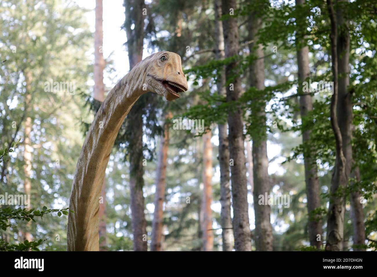 Rasnov, Romania - 3 ottobre 2020: Dettagli con un modello di dinosauro in un parco dino all'aperto in Romania. Foto Stock