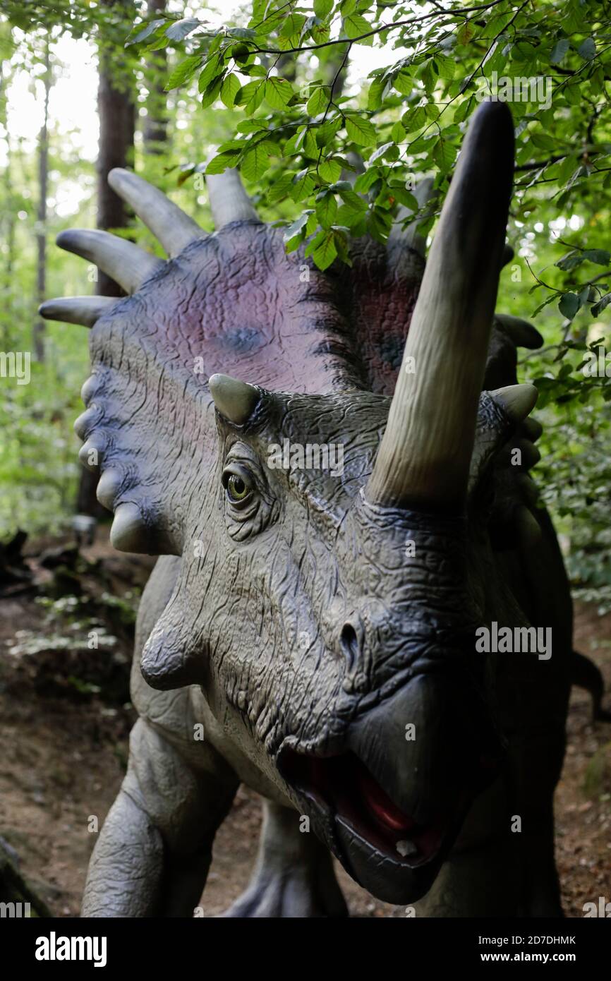 Rasnov, Romania - 3 ottobre 2020: Dettagli con un modello di dinosauro Stiracosauro in un parco dino all'aperto in Romania. Foto Stock