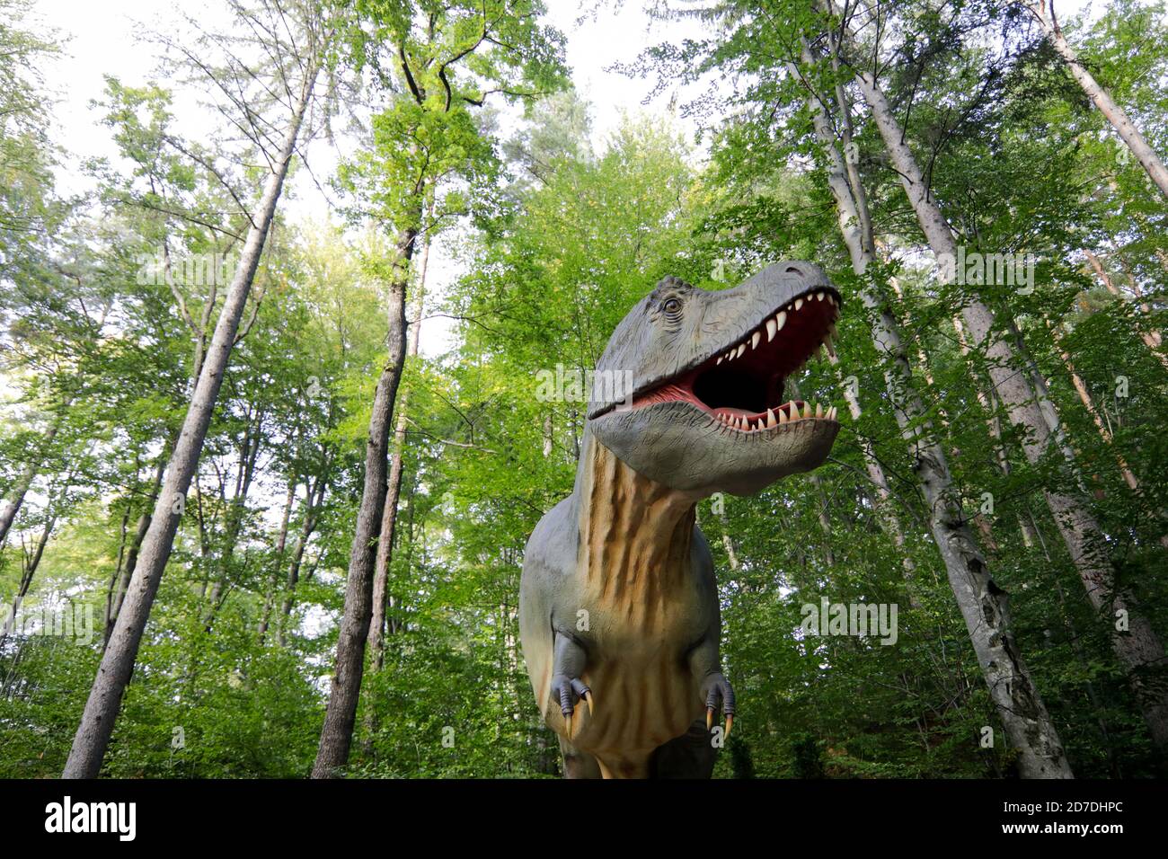 Rasnov, Romania - 3 ottobre 2020: Tyrannosaurus rex modello in un parco dino all'aperto in Romania. Foto Stock