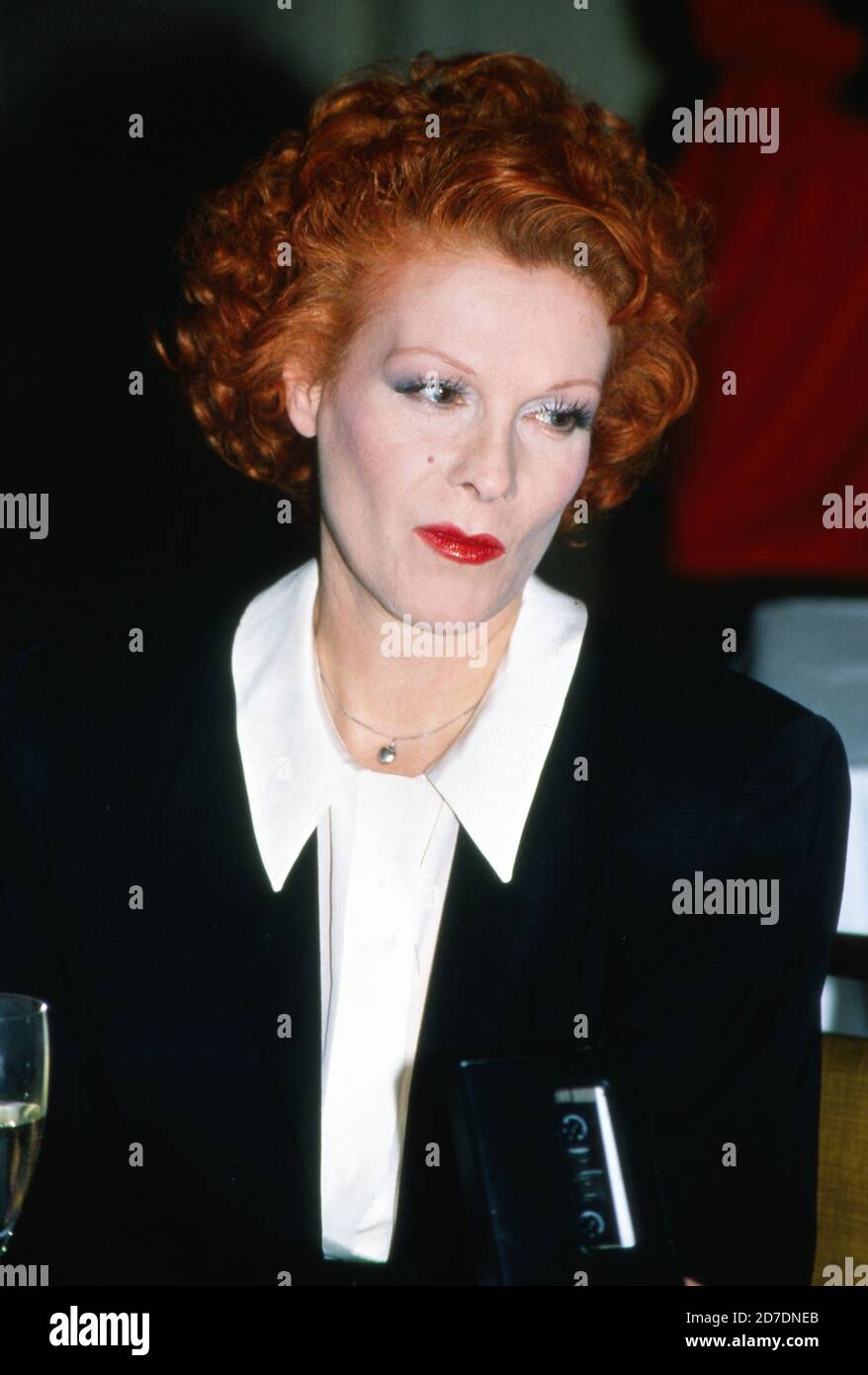 Elisabeth Volkmann, deutsche Schauspielerin und Synchronsprecherin, stellt ad Amburgo ihre neue Hautpflege-Serie 'Hautfrühling' vor, Deutschland 1988. Foto Stock