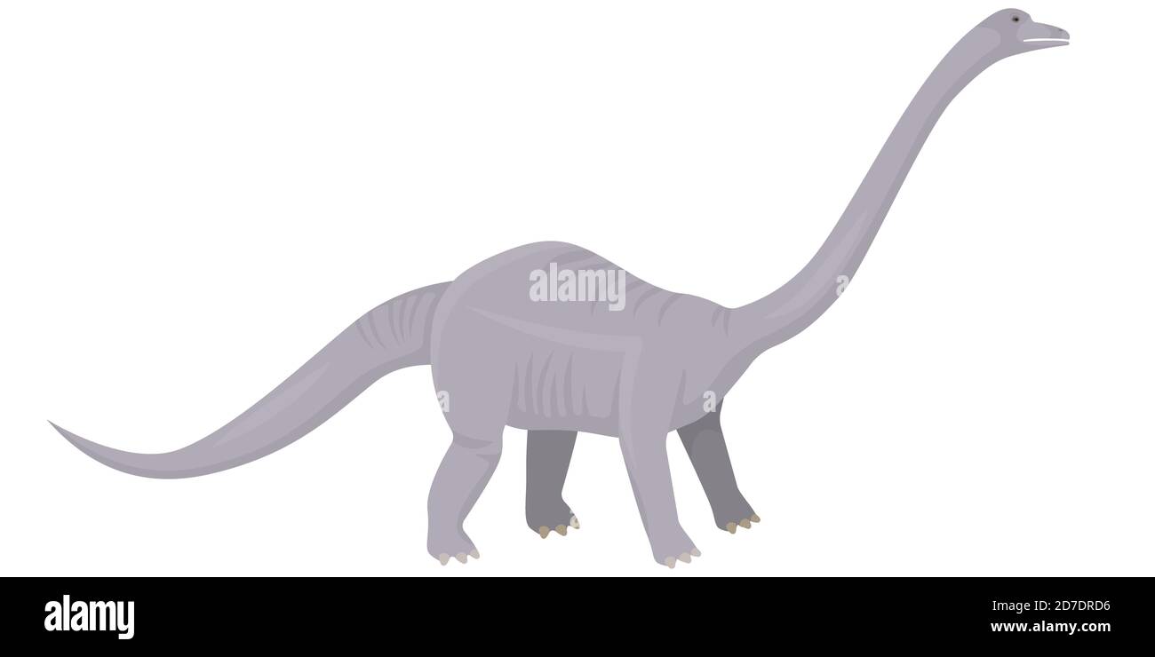 Diplodocus in stile cartoon. Dinosauro erbivoro isolato su sfondo bianco. Illustrazione Vettoriale