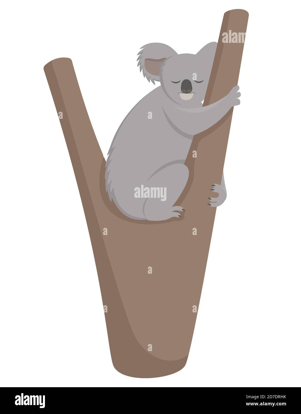 Koala dormiva sul ramo. Carino animale in stile cartoon. Illustrazione Vettoriale