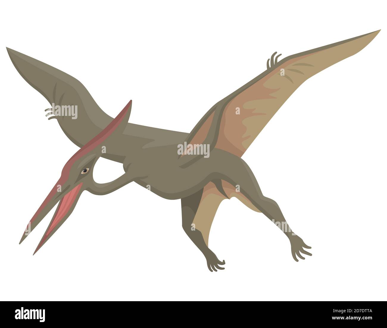 Pterodactyl in stile cartoon. Dinosauro predatore isolato su sfondo bianco. Illustrazione Vettoriale