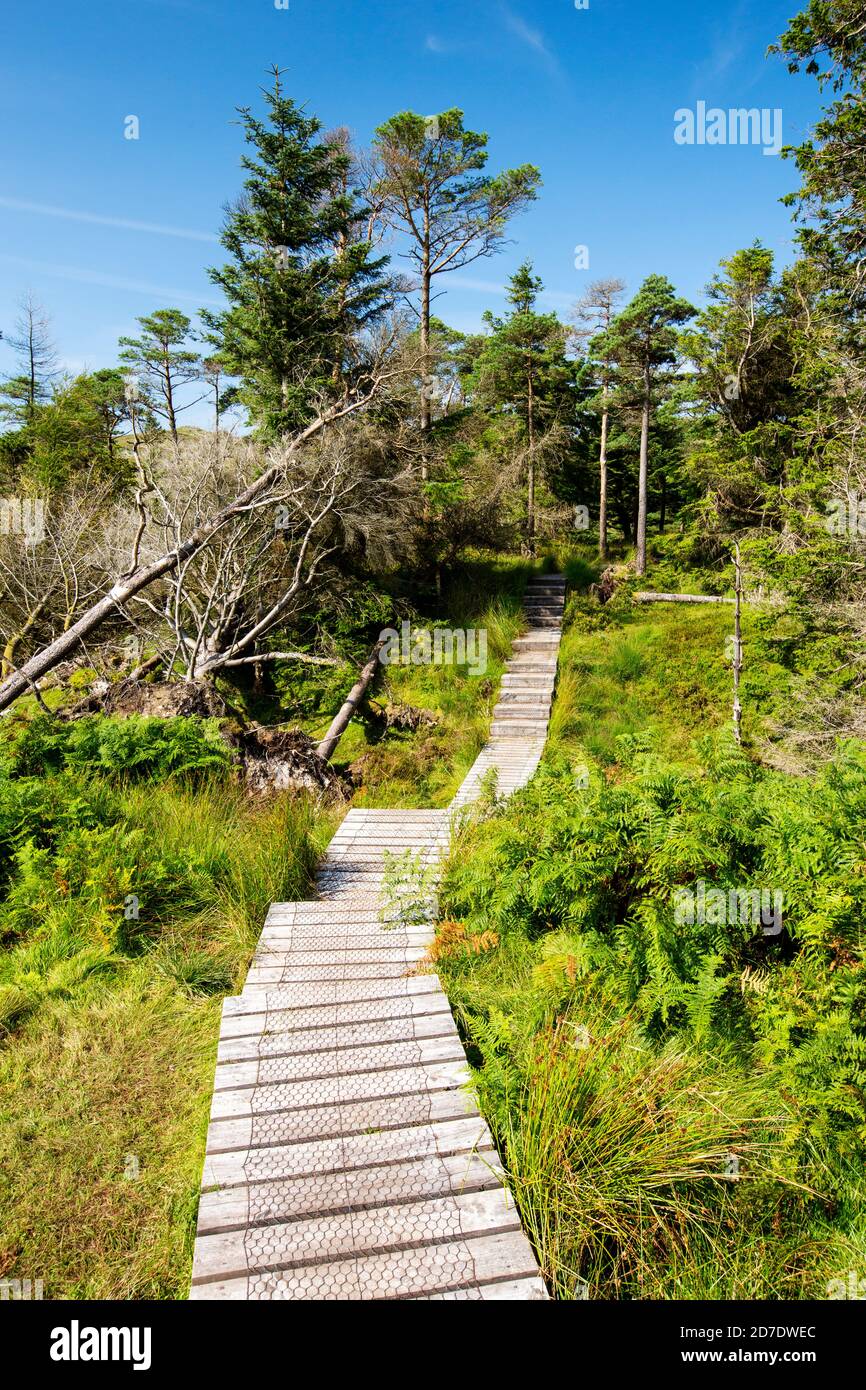 Una passeggiata sul lungomare di Raven Crag, sopra Thirlmere, Lake District, Regno Unito. Foto Stock