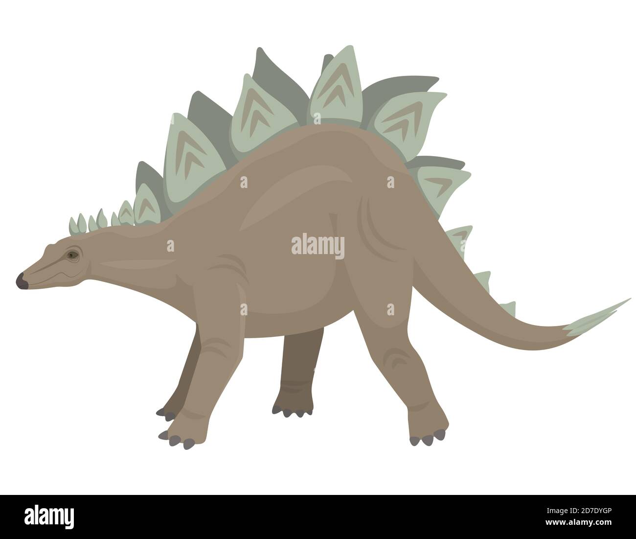 Stegosaurus in stile cartoon. Dinosauro erbivoro isolato su sfondo bianco. Illustrazione Vettoriale