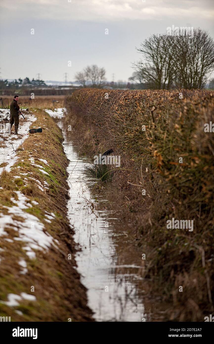 In un gioco guidato sparare in Lancashire, Inghilterra Foto Stock