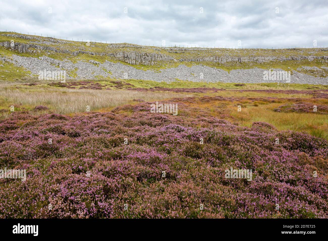 Pavimento in pietra calcarea alla testa di Crummackdale sulle pendici inferiori di Ingleborough, Yorkshire dales, Regno Unito. Foto Stock