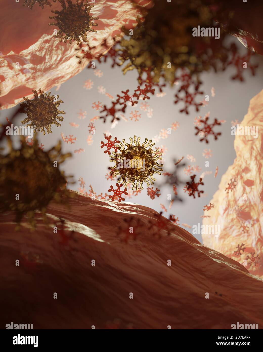 Risposta immunitaria ad un antigene (virus o patogeno) mediante rilascio di immunoglobulina M (IgM), qui colorata in rosso e con una struttura pentamerica (fiocco di neve Foto Stock