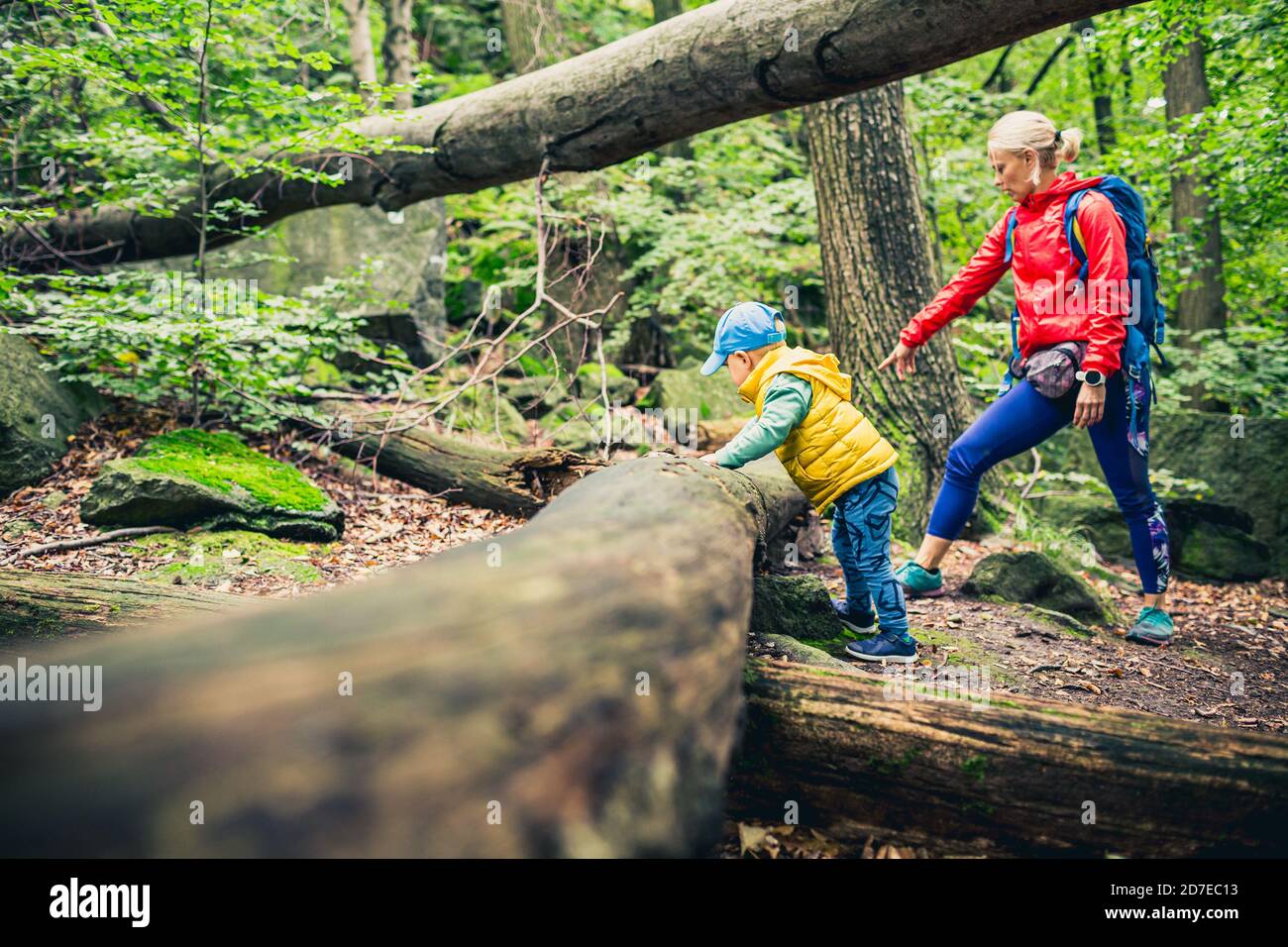 Little boy escursioni con la madre, avventura in famiglia. Piccolo bambino che cammina nella foresta rocciosa verde. Foto Stock