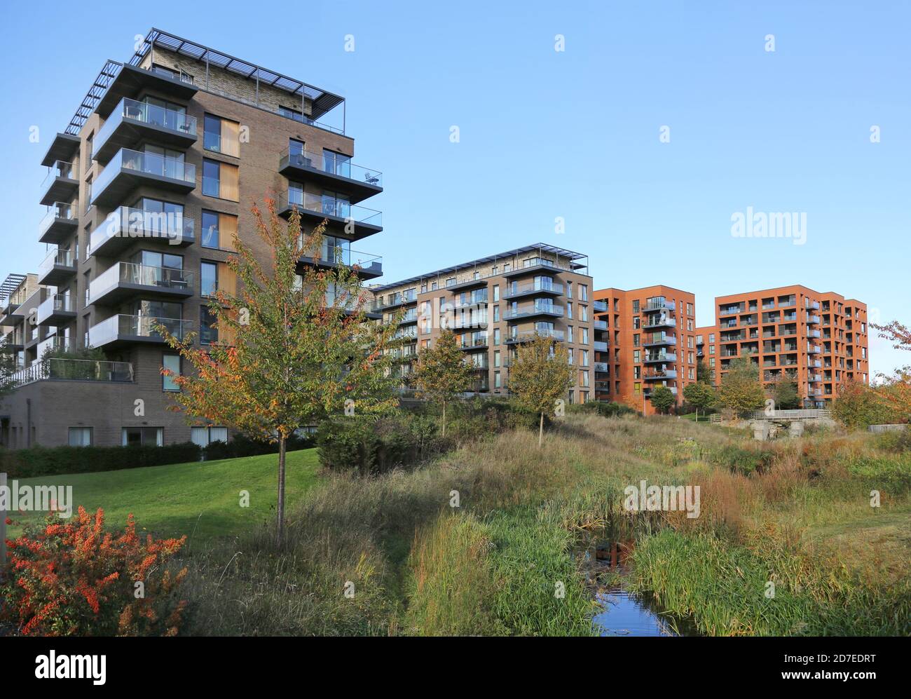 Nuovi blocchi di appartamenti si affacciano su Cator Park al Kidbrooke Village, un enorme nuovo sviluppo residenziale nel London Borough di Greenwich, Regno Unito. Foto Stock