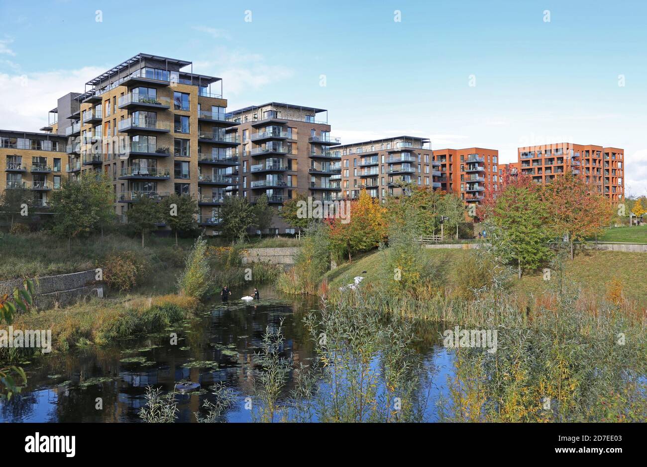 Nuovi blocchi di appartamenti si affacciano su Cator Park al Kidbrooke Village, un enorme nuovo sviluppo residenziale nel London Borough di Greenwich, Regno Unito. Foto Stock