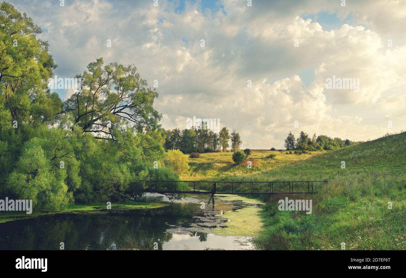 Tranquillo paesaggio estivo con un piccolo fiume all'alba Foto Stock