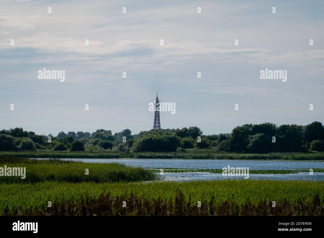 Il paesaggio della Riserva Naturale locale di Marton Mere in Blackpool che mostra il lago e la torre distante Foto Stock