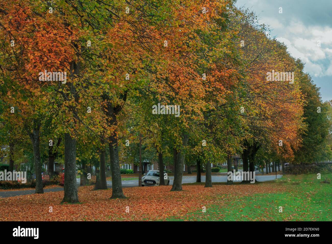 Port Sunlight Village in autunno Foto Stock