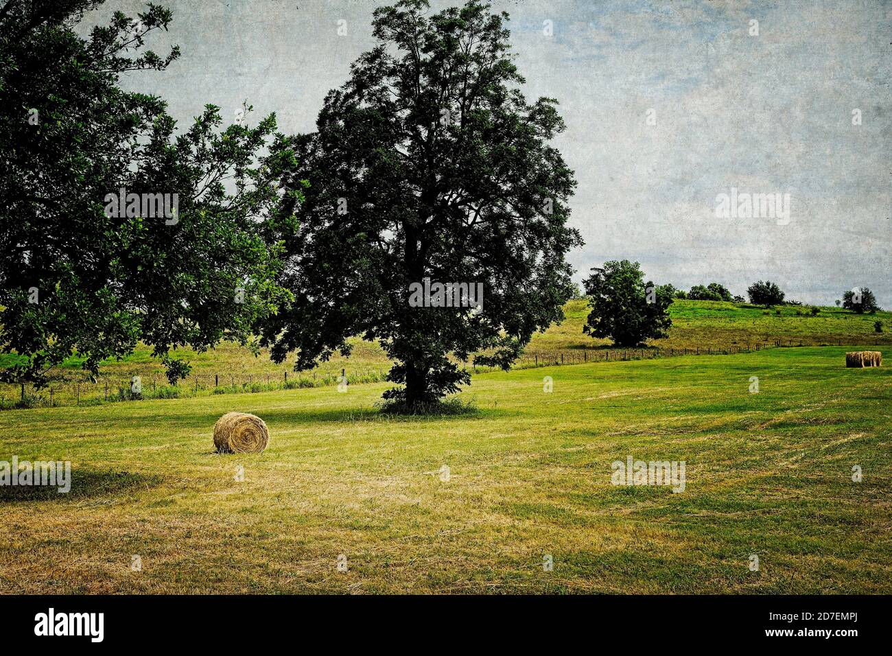 Balle rotonde di fieno adagiato su terreni di pascolo su un ranch Texas Hill Country con alberi sparsi sul paesaggio. Foto Stock