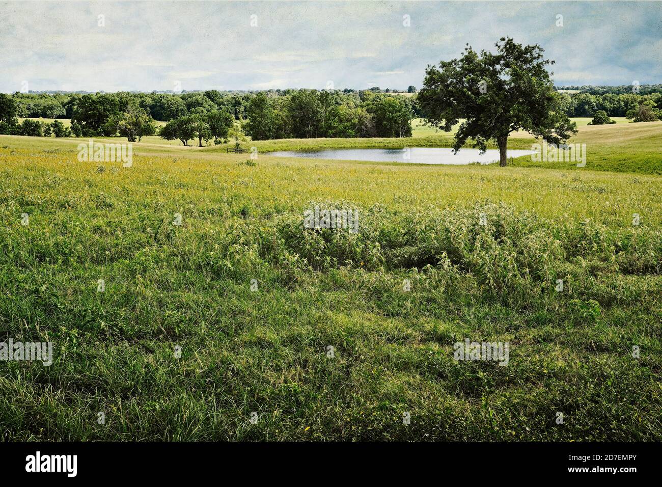 Texas Hill Country stock laghetto con alberi di quercia sovrastante situato sulla terra ranch nel Texas rurale. Foto Stock