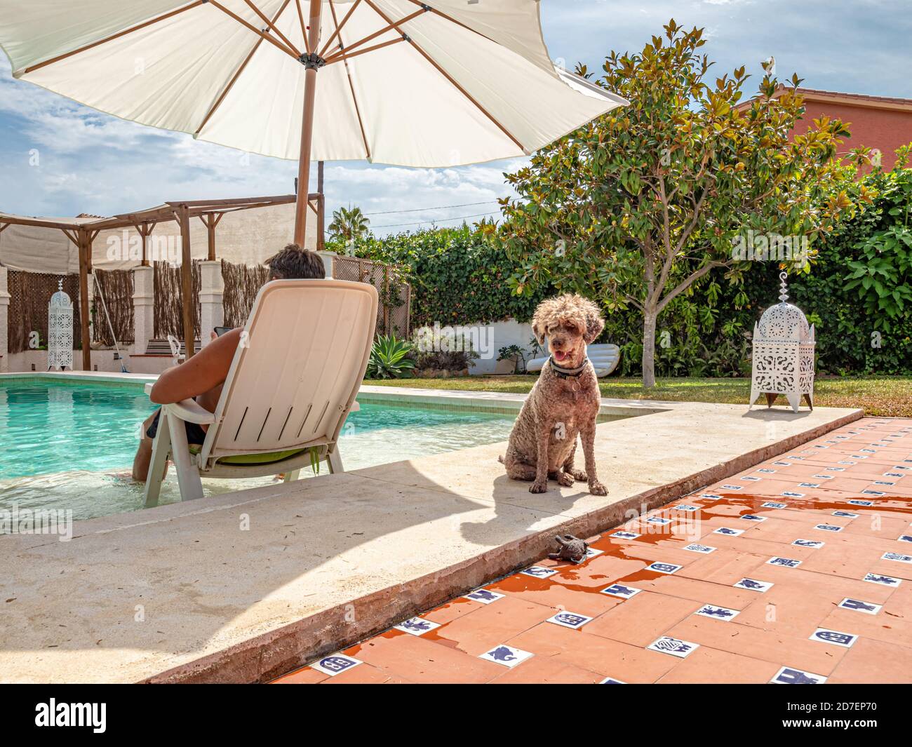 Uomo non identificato che si rilassa in una villa di vacanza con il suo cane in una piscina con sdraio abbronzante, piscina con sedie, ombrellone, erba, giardino, portico e gazebo. Foto Stock