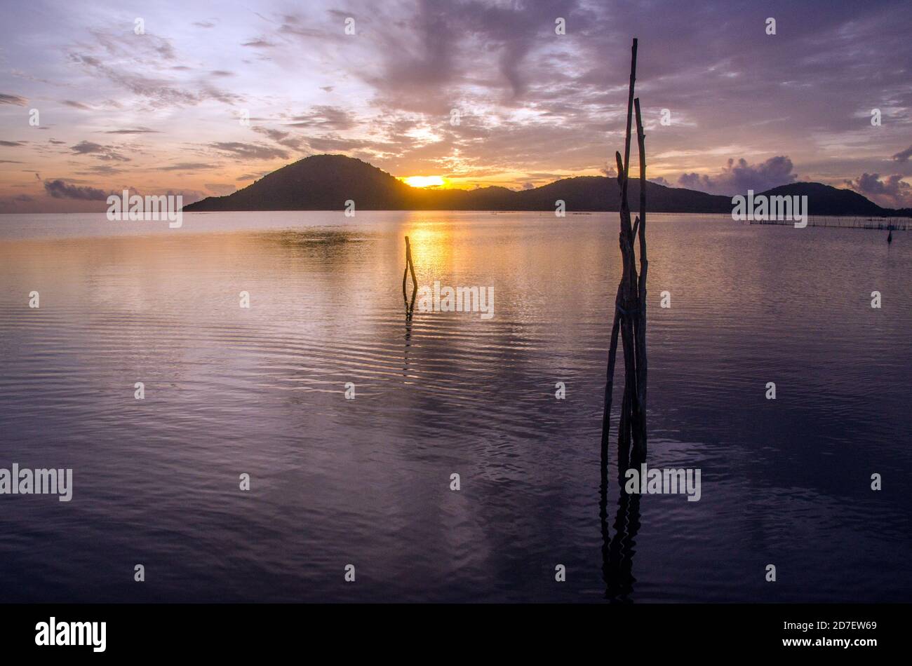 Alba di lago di peperoncino rambha odisha india Foto Stock