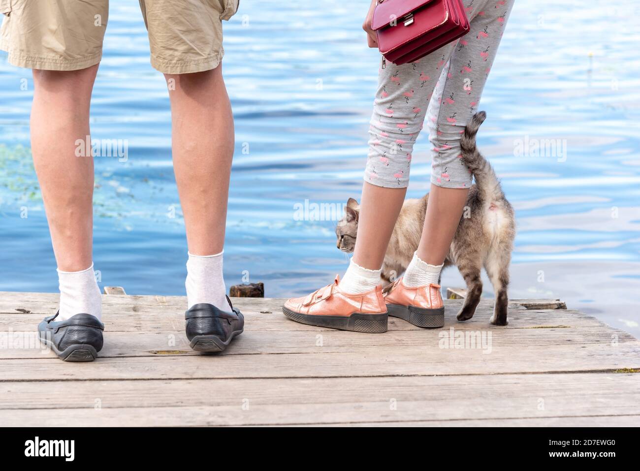 Giovane uomo e donna con gatto tabby in piedi su vecchio molo in legno Foto Stock