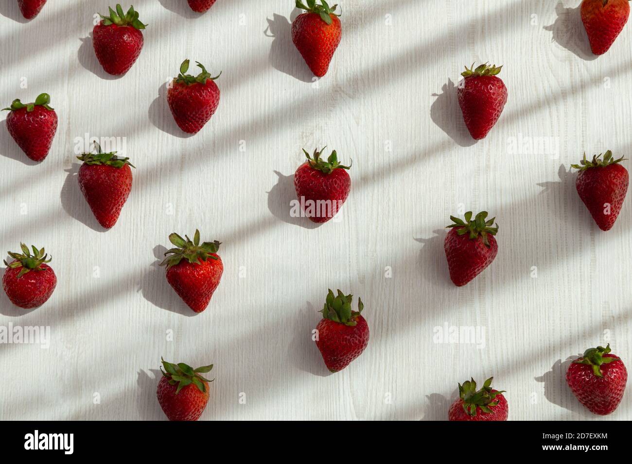 deliziosa fragola fresca in file con sfondo bianco, sole e ombra, arredamento in uno studio, stile di vita sano Foto Stock