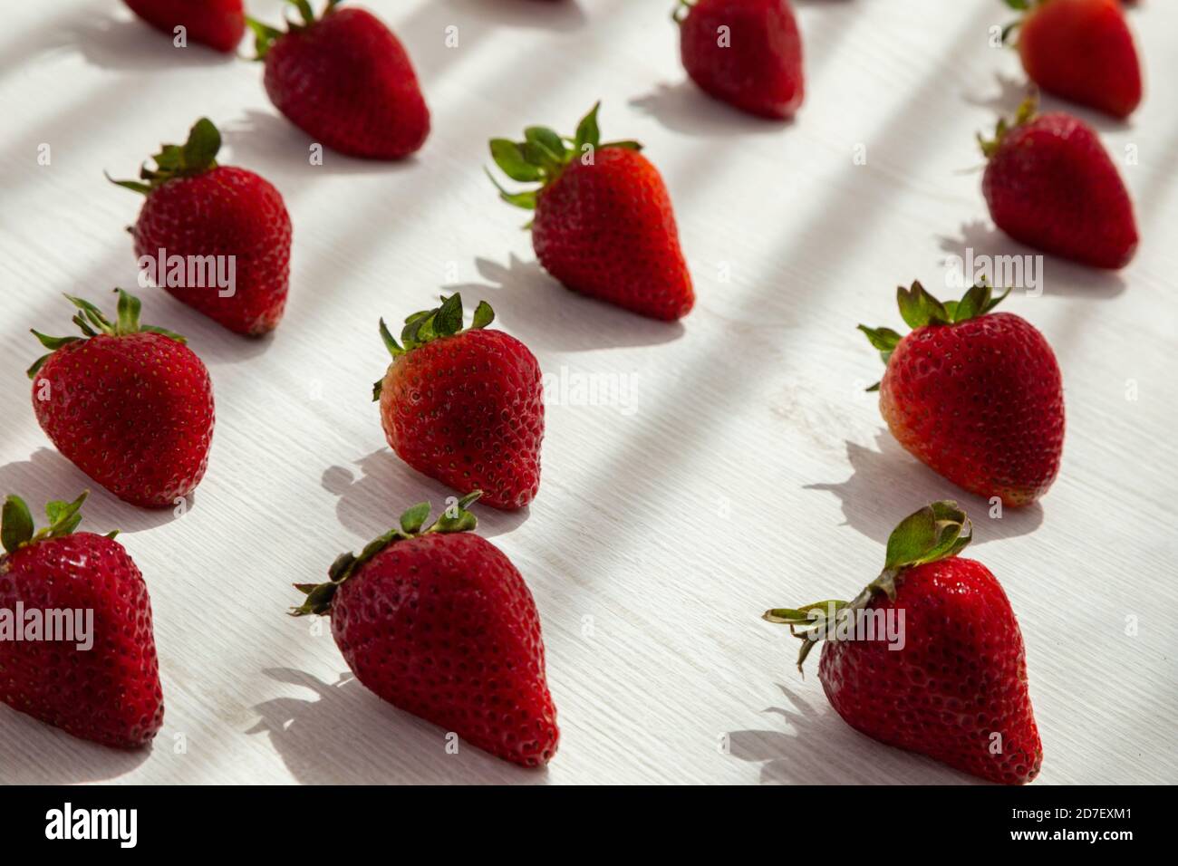 primo piano di deliziosa fragola fresca in file con sfondo bianco, design in studio, stile di vita sano Foto Stock