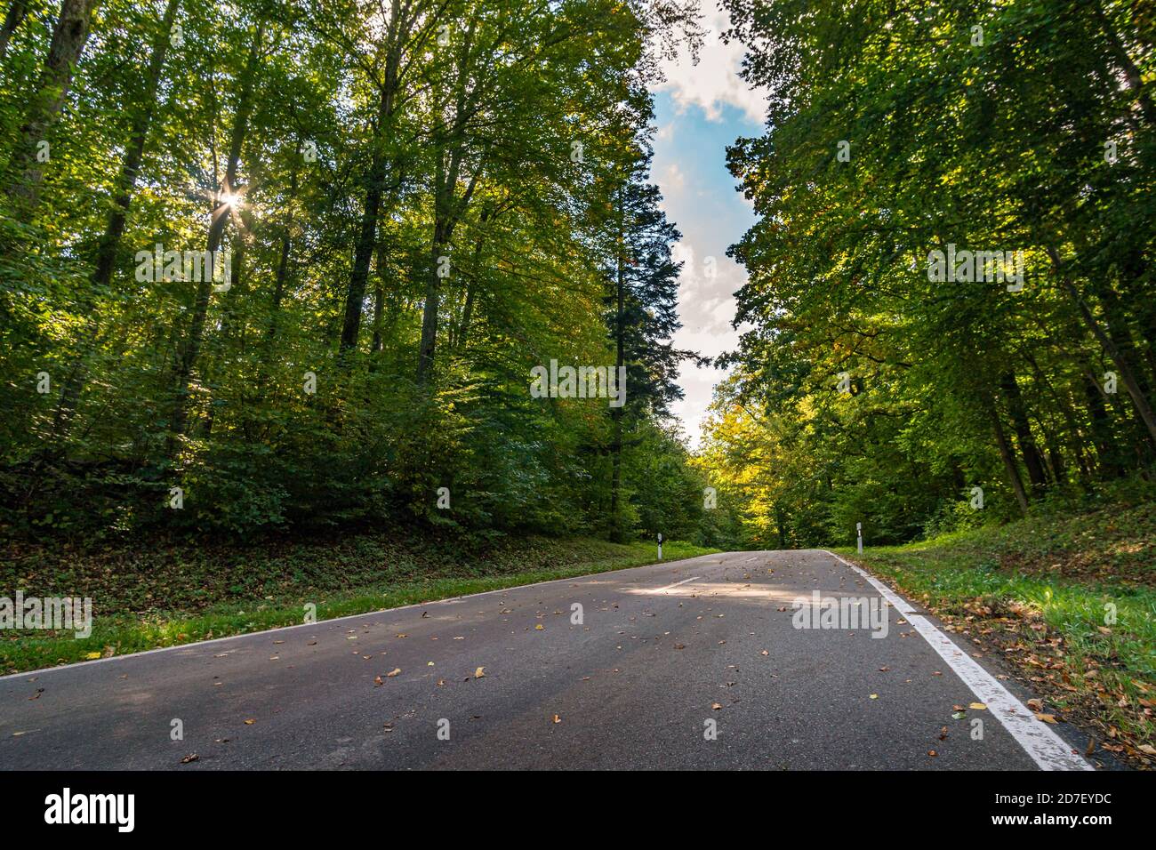 Strada vuota nella foresta autunnale con foglie in Alto Swabia Germania Foto Stock