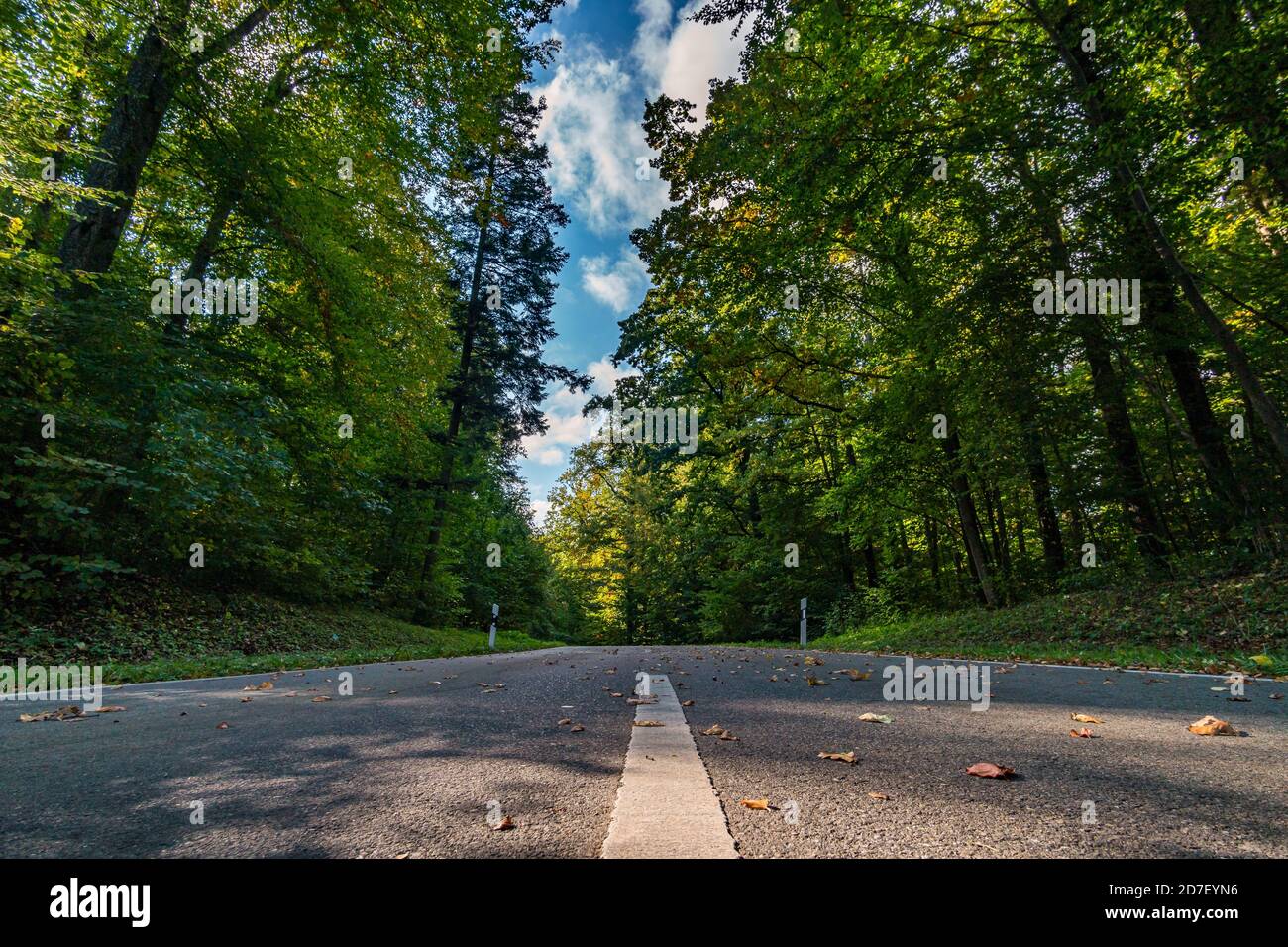 Strada vuota nella foresta autunnale con foglie in Alto Swabia Germania Foto Stock