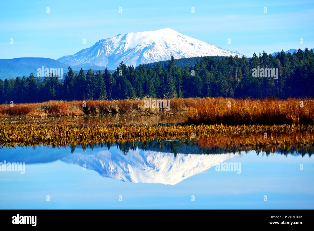 Mount St. Helens si riflette in Silver Lake, Washington-USA Foto Stock
