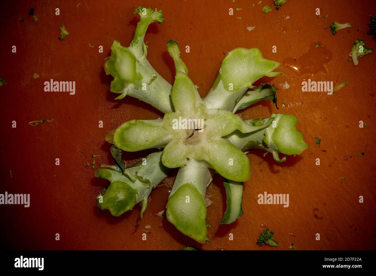 La fine di una corona di broccoli tagliata a New York venerdì 16 ottobre 2020. (© Richard B. Levine) Foto Stock