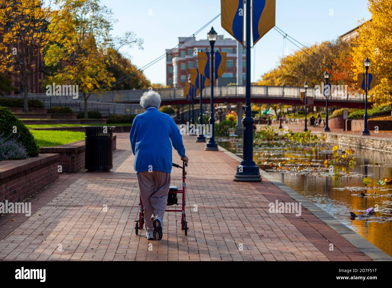 Una donna caucasica anziana che indossa felpa blu, pantaloni da pista e scarpe da ginnastica sta camminando lentamente nei parchi con un camminatore a rotelle. È una giornata di sole in autunno Foto Stock