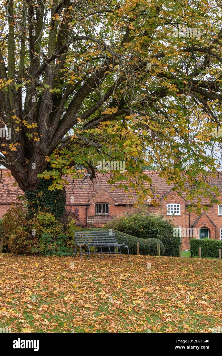 Colori autunnali sul villaggio verde, Great Brington, Northamptonshire, Regno Unito Foto Stock