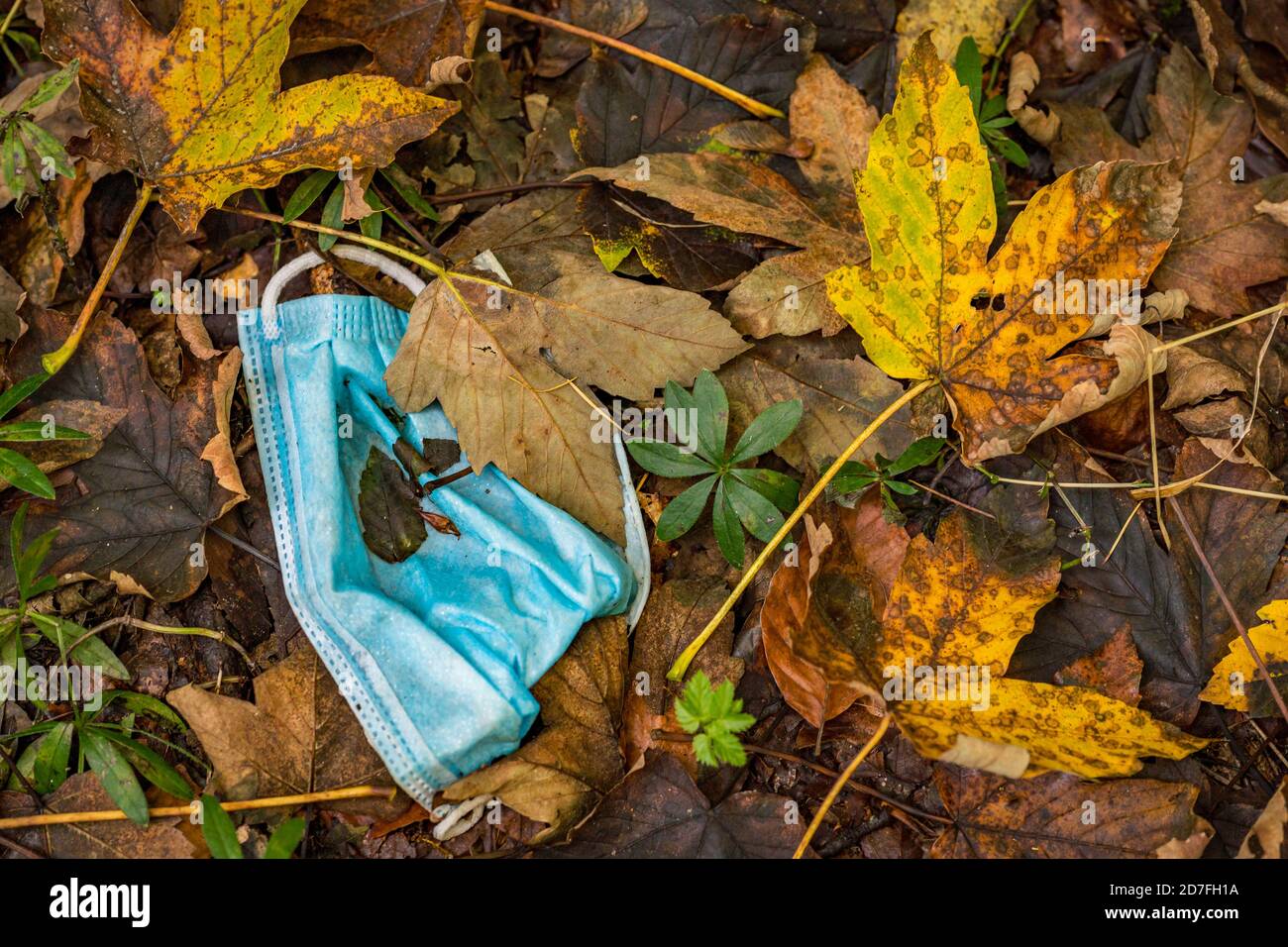 Scartato maschera Corona immondizia nella sporcizia in autunno colorato Foglie in Germania immondizia problema Foto Stock