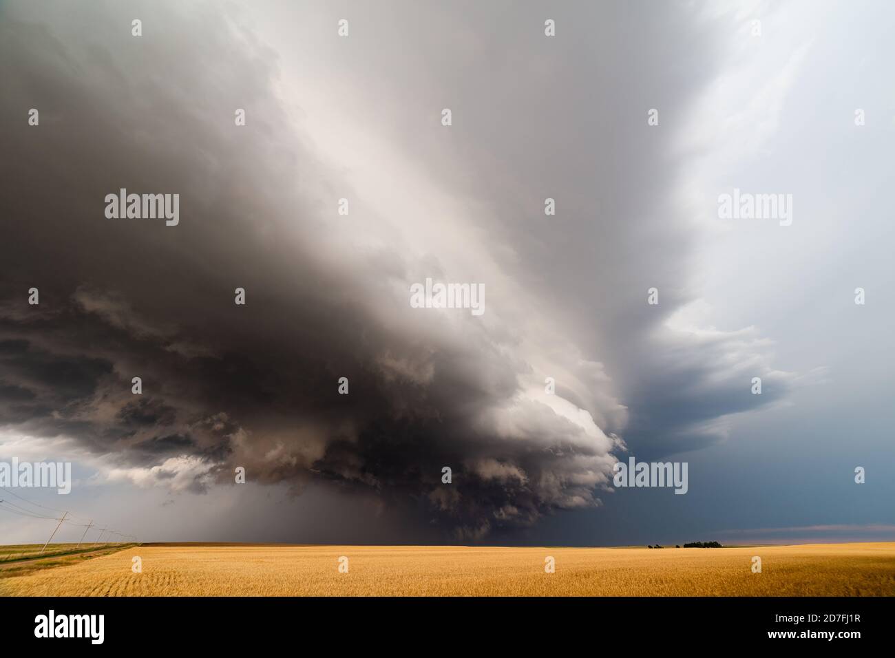 Nuvole drammatiche su un campo di grano mentre una tempesta di supercelle si avvicina a Hanston, Kansas Foto Stock