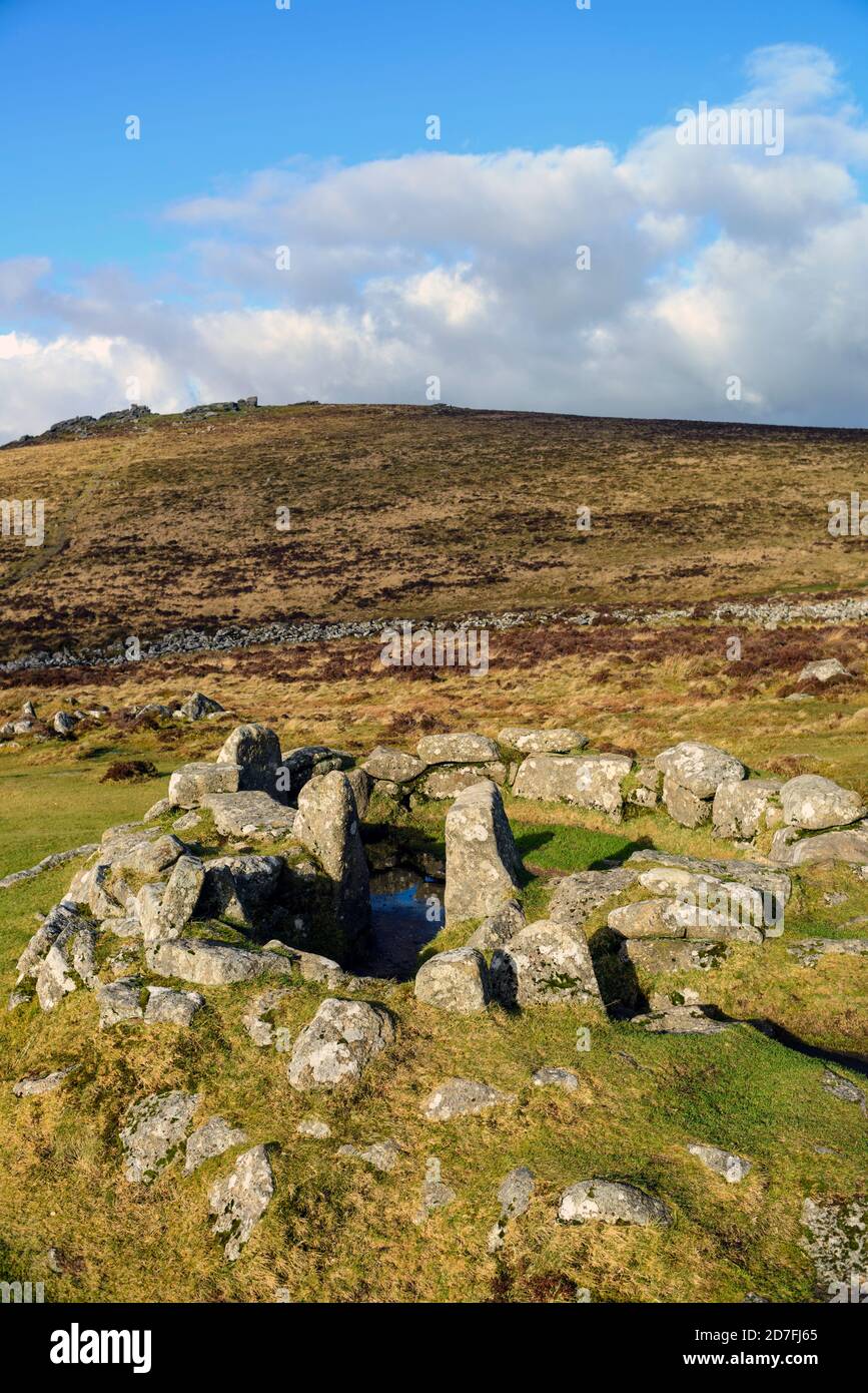 Grimspound rotonda casa 3 (capanna cerchio) all'interno del villaggio murato età del bronzo. Hookney Tor è sullo sfondo. Dartmoor, Devon, Inghilterra, Regno Unito. Foto Stock