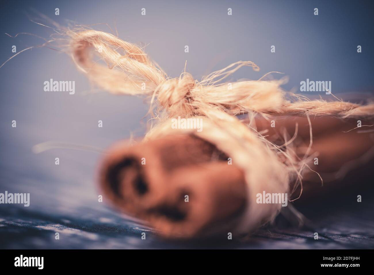 Primo piano di un bastone di cannella intorno al quale è avvolto un filo. Toni autunnali. Concetto di vacanze Foto Stock