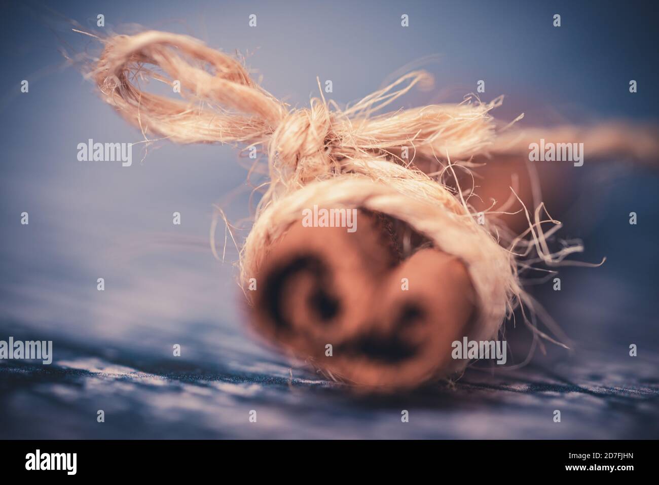 Primo piano di un bastone di cannella intorno al quale è avvolto un filo. Toni autunnali. Concetto di vacanze Foto Stock