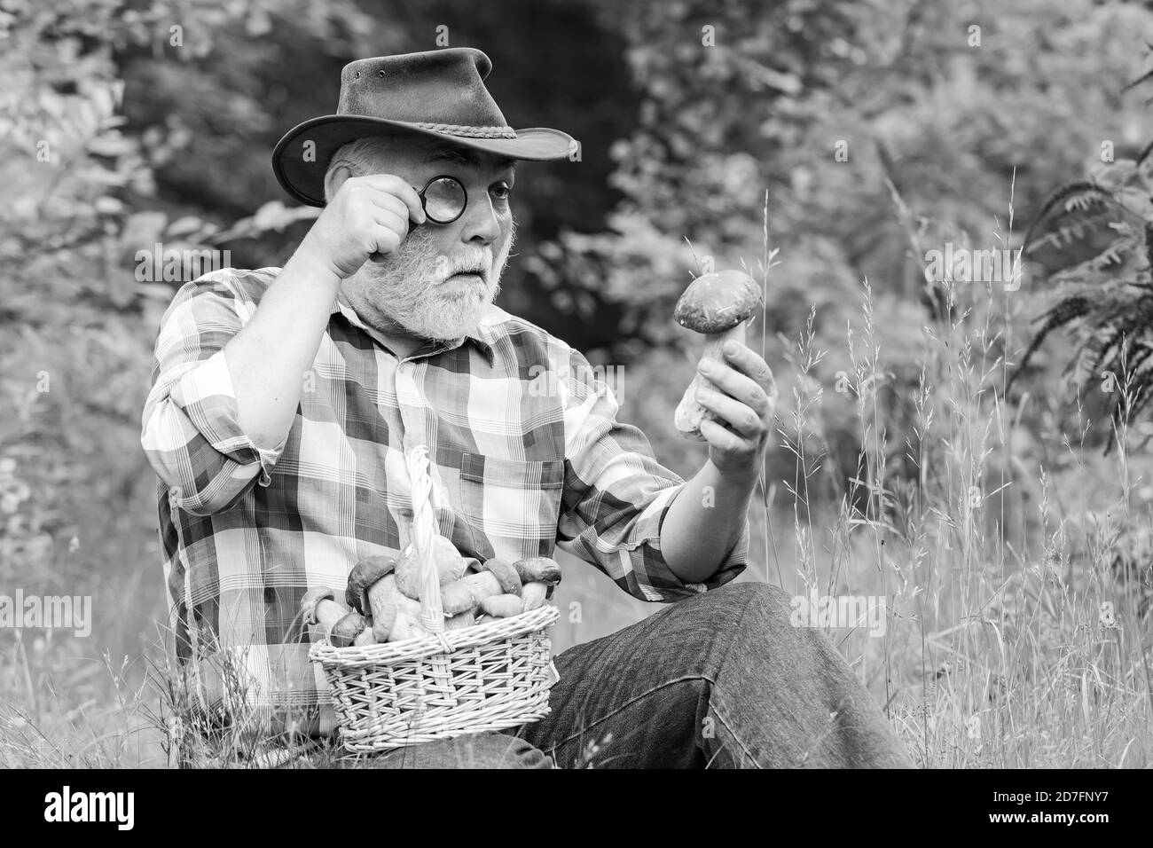 Cesto di funghi Foto e Immagini Stock in Bianco e Nero - Alamy