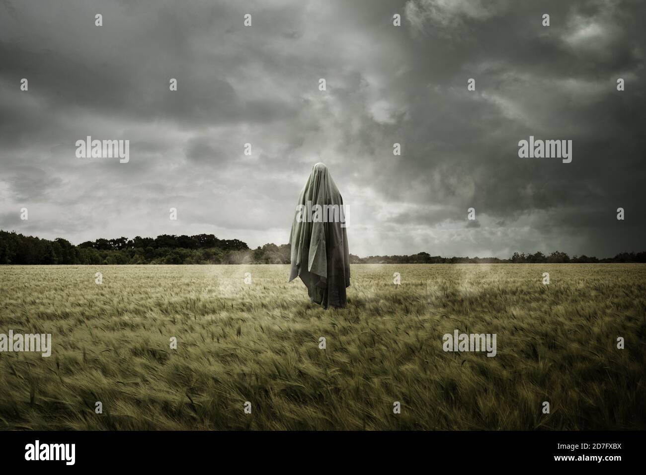 Paesaggio infestato e schiarito con un fantasma di spirito fluttuante, concetto inquietante. Foto Stock