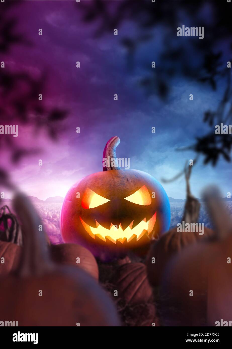 Felice Halloween! Una zucca scolpita incandescente in un campo spotoso e misy di notte. Composito fotografico orizzontale. Foto Stock