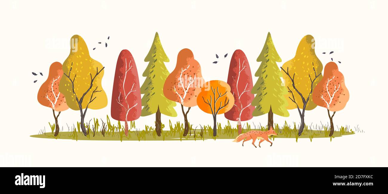 Foresta bosco in autunno con alberi colorati e foglie. Illustrazione vettoriale. Illustrazione Vettoriale