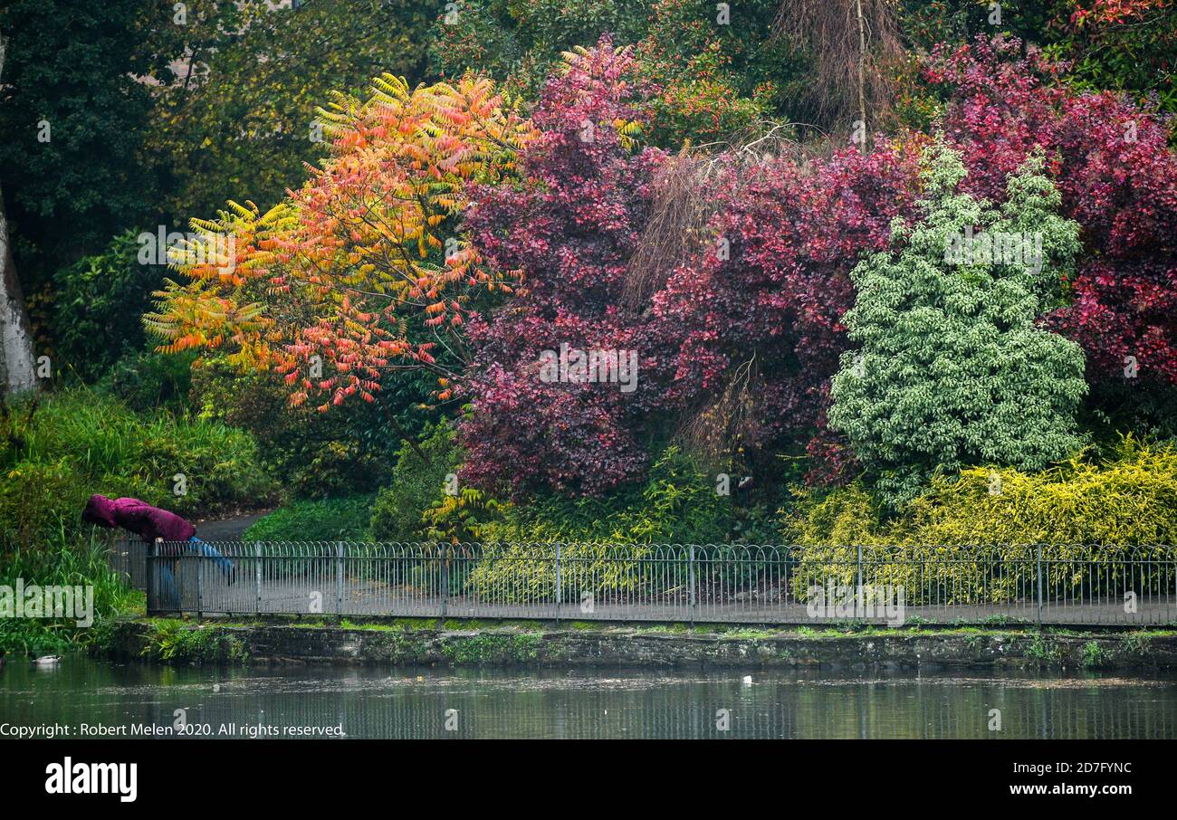 Swansea, 21 ottobre 2020 colori pastello Autunno riempiono la cornice come una persona si appoggia su una recinzione al Brynmill Park a Swansea, su un morni relativamente calmo Foto Stock