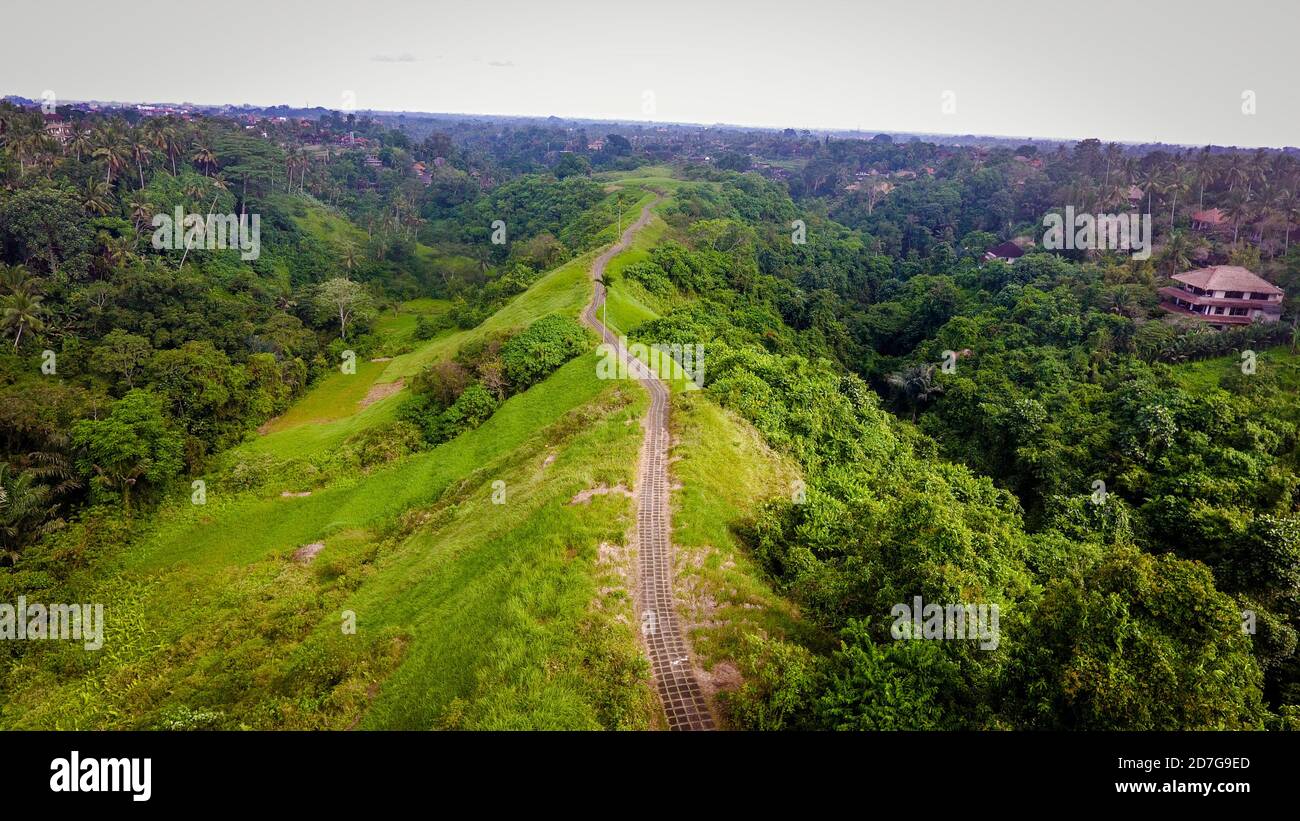 Bella passeggiata collinetta situata a Ubud, un villaggio culturale tradizionale a Bali. Posto meraviglioso e tranquillo con una bella atmosfera. Foto Stock